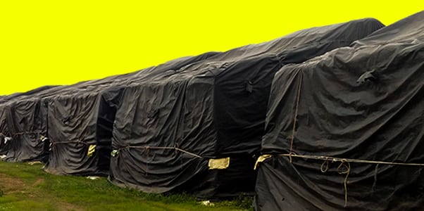 LDPE Cap/Fumigation Cover